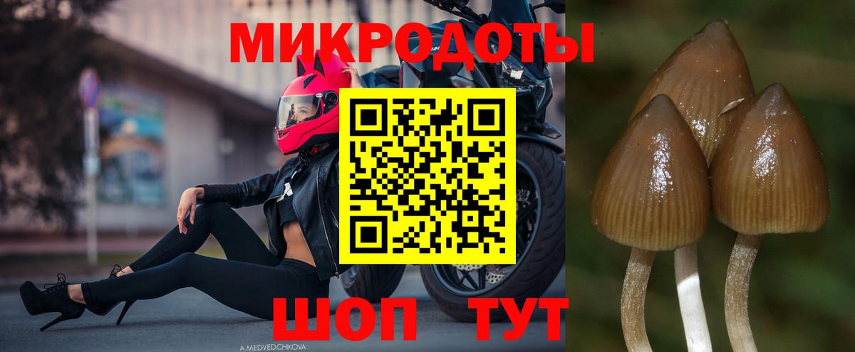 Тольятти  Псилоцибиновые грибы прущие грибы  Вход с VPN 